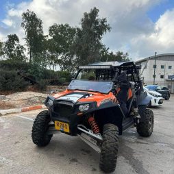 Rzr 900