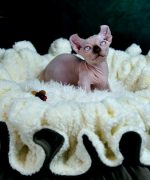 Превью, всего фото: 3