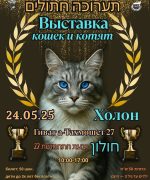 Превью, всего фото: 5