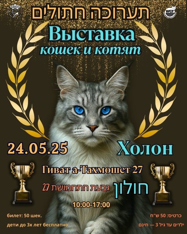 Выставка Кошек и Котят -  Фото 4