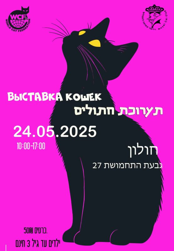 Выставка Кошек и Котят -  Фото 3