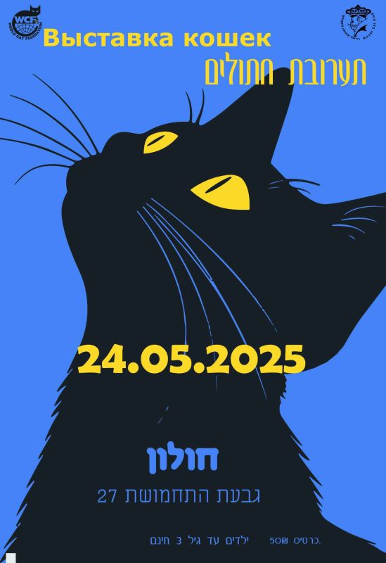 Выставка Кошек и Котят -  Фото 2