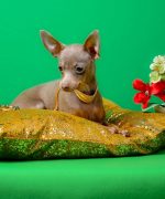 Превью, всего фото: 8