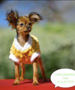 Превью, всего фото: 8