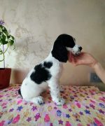 Превью, всего фото: 3