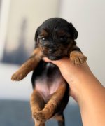 Превью, всего фото: 8