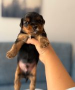 Превью, всего фото: 8