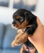 Превью, всего фото: 8