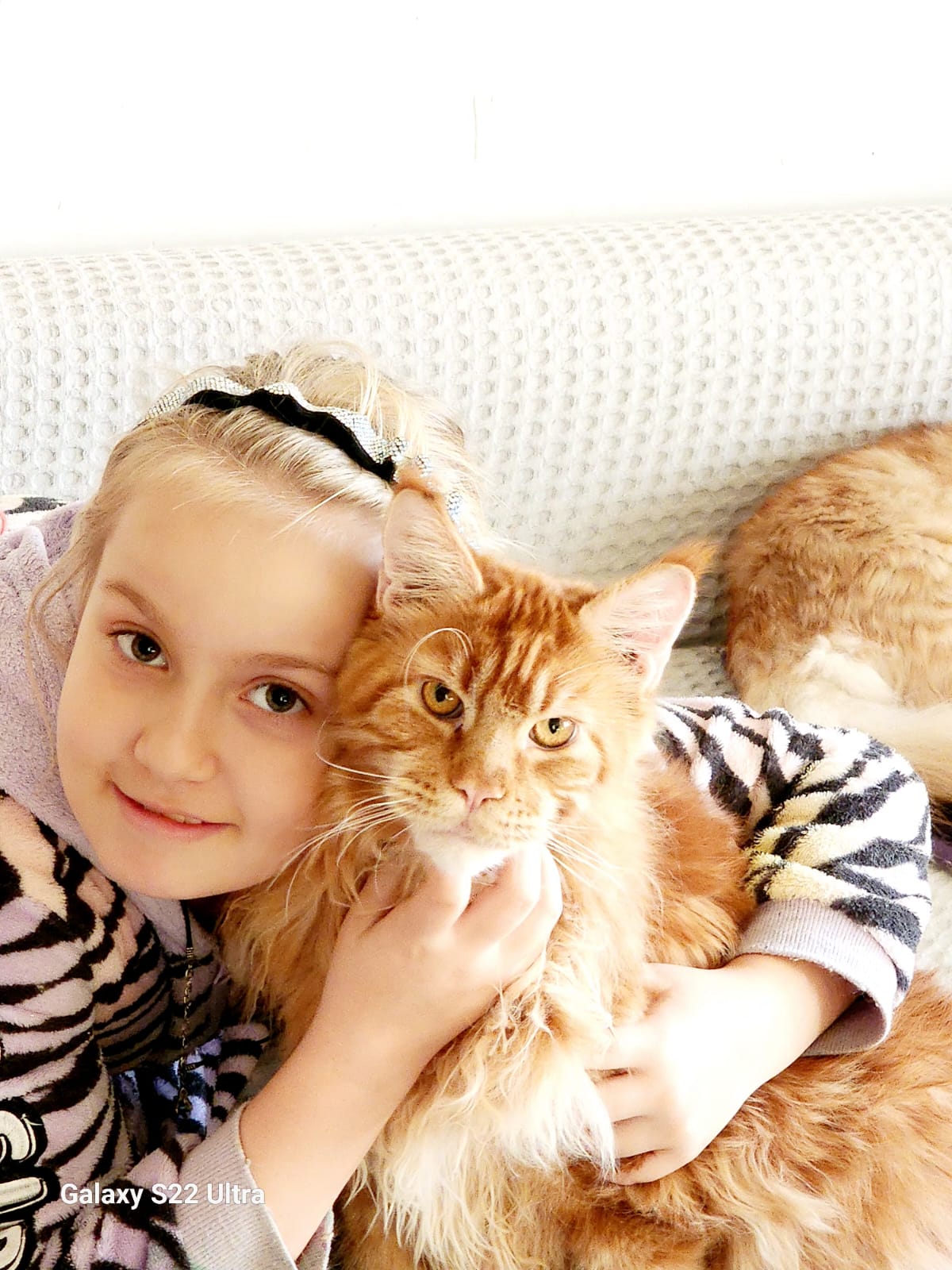 Молодой котик ищет дом -  Фото 3