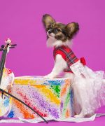 Превью, всего фото: 9