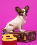 Превью, всего фото: 9