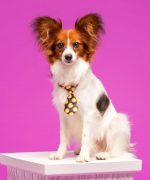 Превью, всего фото: 9