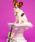 Превью, всего фото: 9