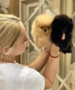 Превью, всего фото: 3