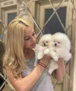 Превью, всего фото: 3