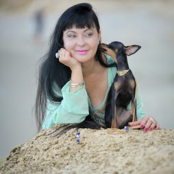 Той терьер щенки טוי רוסי גורים