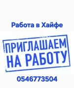 Превью, всего фото: 2